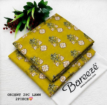 Original 2pc lawn allover D#013