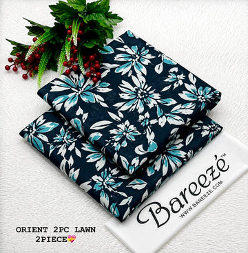 Original 2pc lawn allover D#019